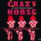 CRAZY HORSE